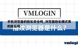 手机浏览器的隐私安全吗_浏览器隐私模式真的隐私吗