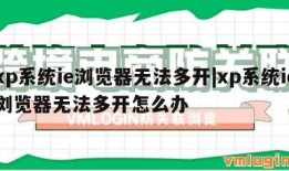 xp系统ie浏览器无法多开|xp系统ie浏览器无法多开怎么办