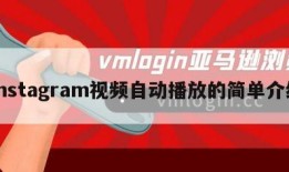 instagram视频自动播放的简单介绍