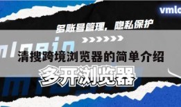 清搜跨境浏览器的简单介绍