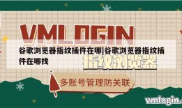 谷歌浏览器指纹插件在哪|谷歌浏览器指纹插件在哪找