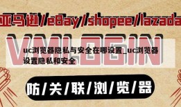 uc浏览器隐私与安全在哪设置_uc浏览器设置隐私和安全
