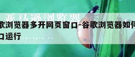 谷歌浏览器多开网页窗口-谷歌浏览器如何多窗口运行