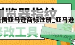 怎样查美国亚马逊商标注册_亚马逊店铺商标在哪看