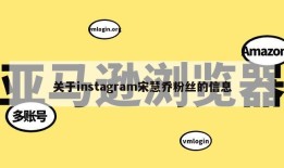 关于instagram宋慧乔粉丝的信息