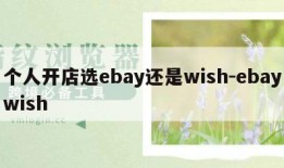 个人开店选ebay还是wish-ebaywish