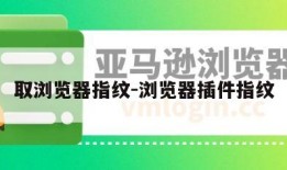 取浏览器指纹-浏览器插件指纹