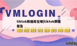 tiktok数据库在哪|tiktok数据报告