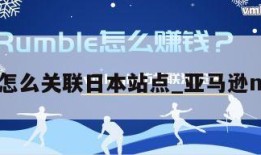 亚马逊怎么关联日本站点_亚马逊nsb关联