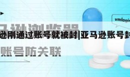 亚马逊刚通过账号就被封|亚马逊账号封号因素