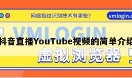 抖音直播YouTube视频的简单介绍