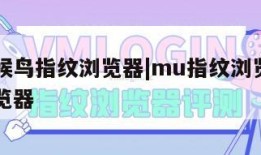 雷神云候鸟指纹浏览器|mu指纹浏览器候鸟指纹浏览器