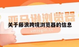 关于藤浪跨境浏览器的信息