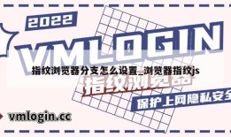 指纹浏览器分支怎么设置_浏览器指纹js