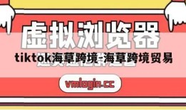 tiktok海草跨境-海草跨境贸易