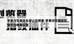 苹果浏览器隐私窗口在哪里-苹果浏览器隐私模式在哪里设置
