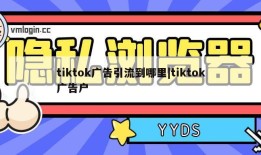 tiktok广告引流到哪里|tiktok广告户