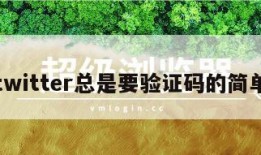 登陆twitter总是要验证码的简单介绍