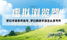 梦幻手游多开选号_梦幻西游手游怎么多号开