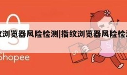 指纹浏览器风险检测|指纹浏览器风险检测在哪
