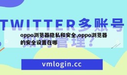 oppo浏览器隐私和安全,oppo浏览器的安全设置在哪